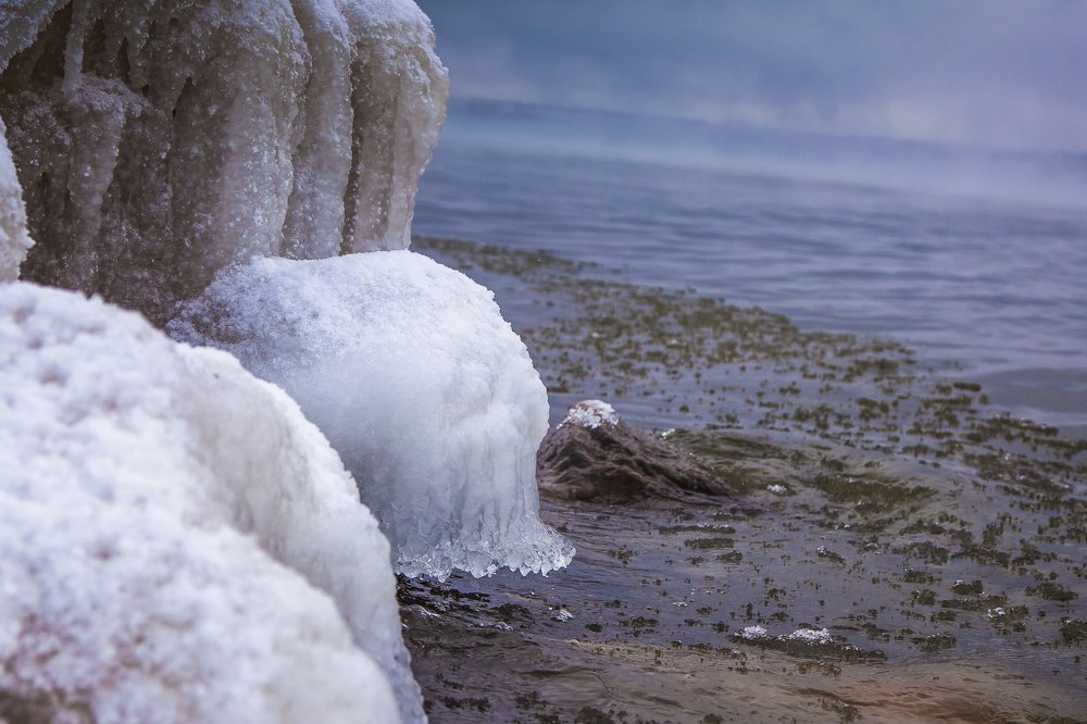 Photograph by Ирина Кузькина