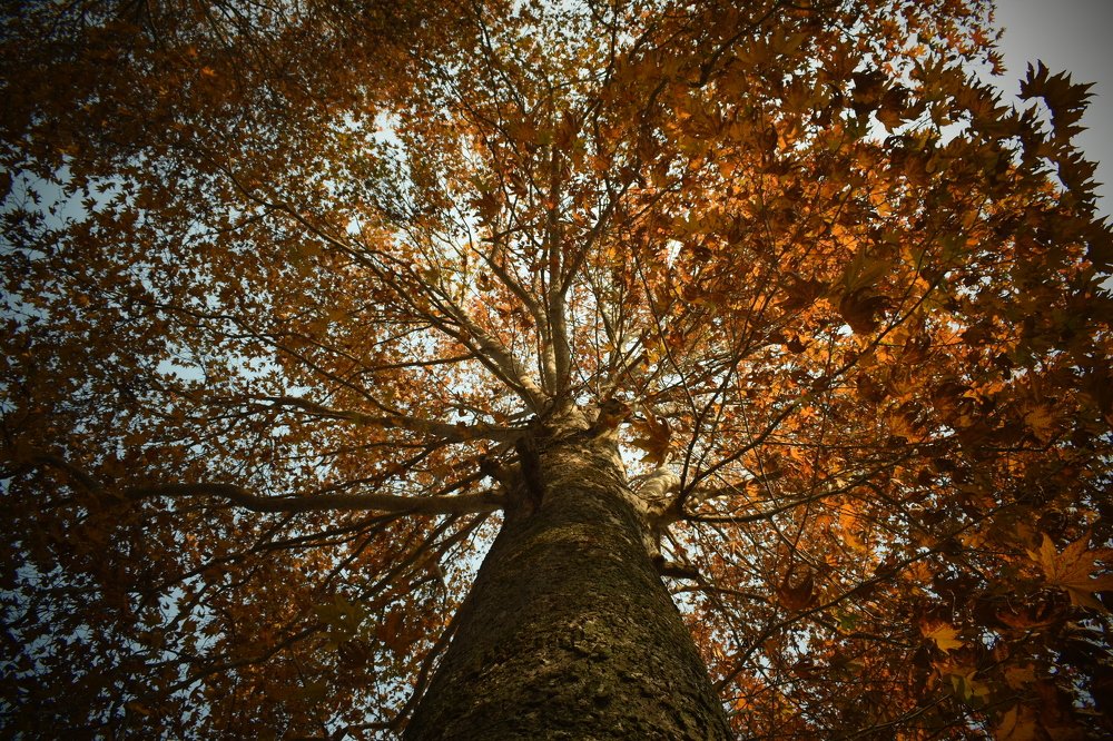 Photograph by Anam (Annie) Zaffar