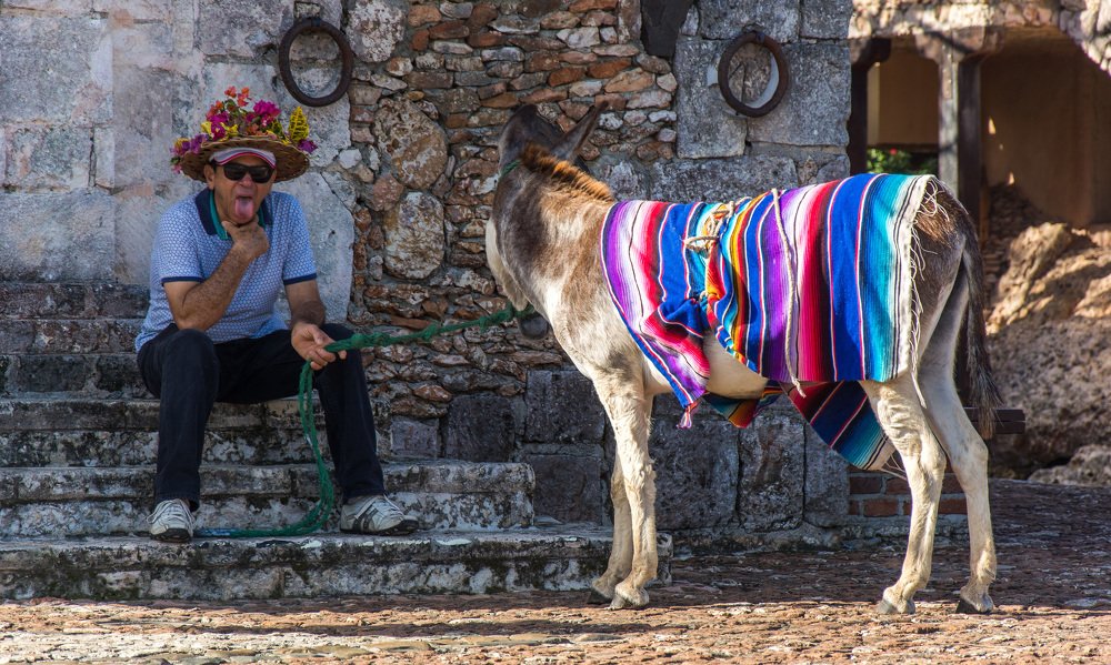 Photograph by Александр Халимов