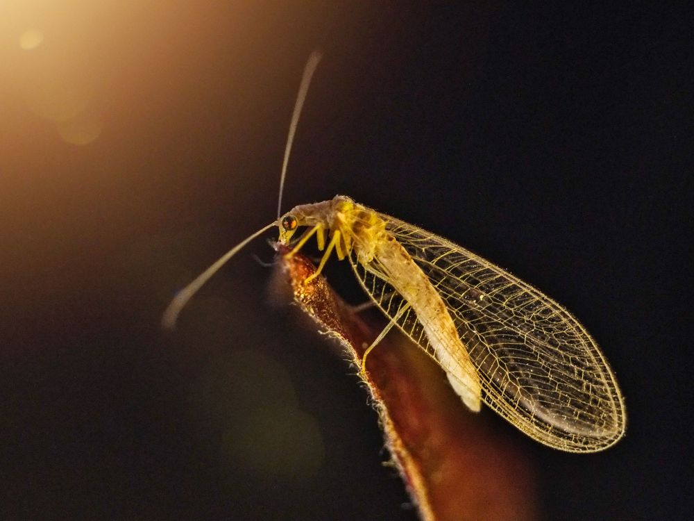 Photograph by Юлия Иванова