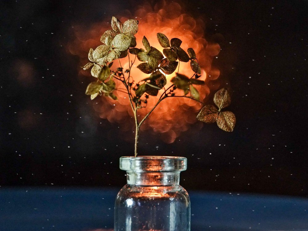 Photograph by Юлия Иванова