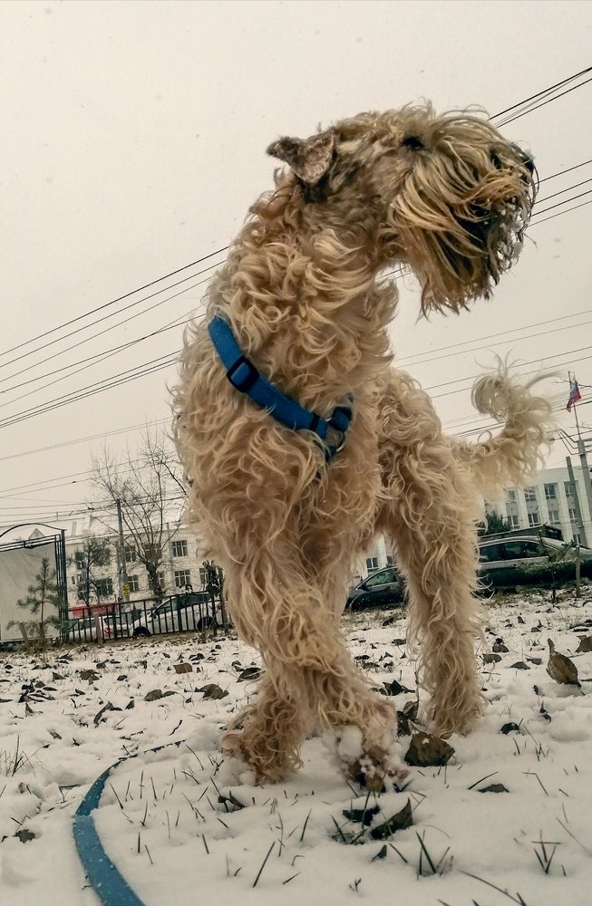 Photograph by Марина