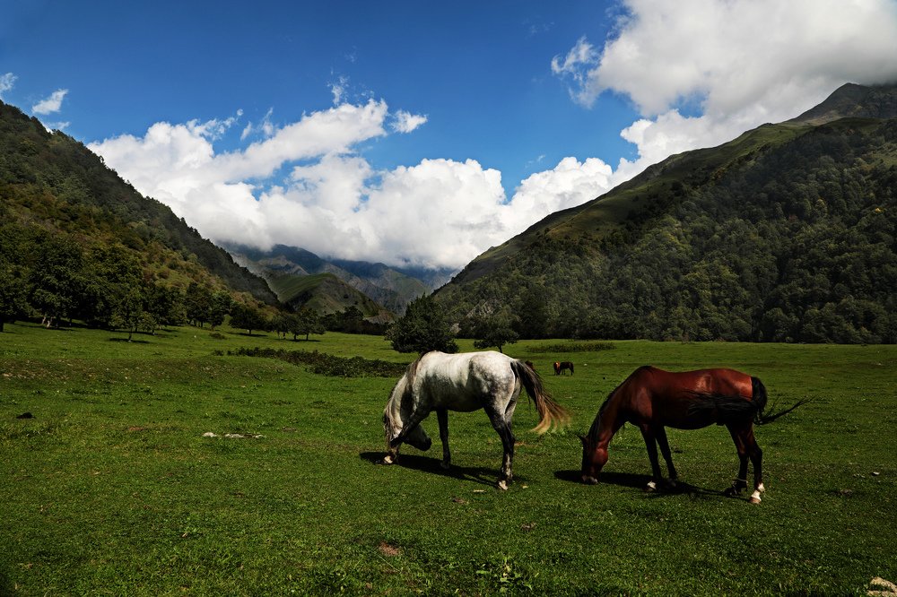 Photograph by Айдын Мехтиев