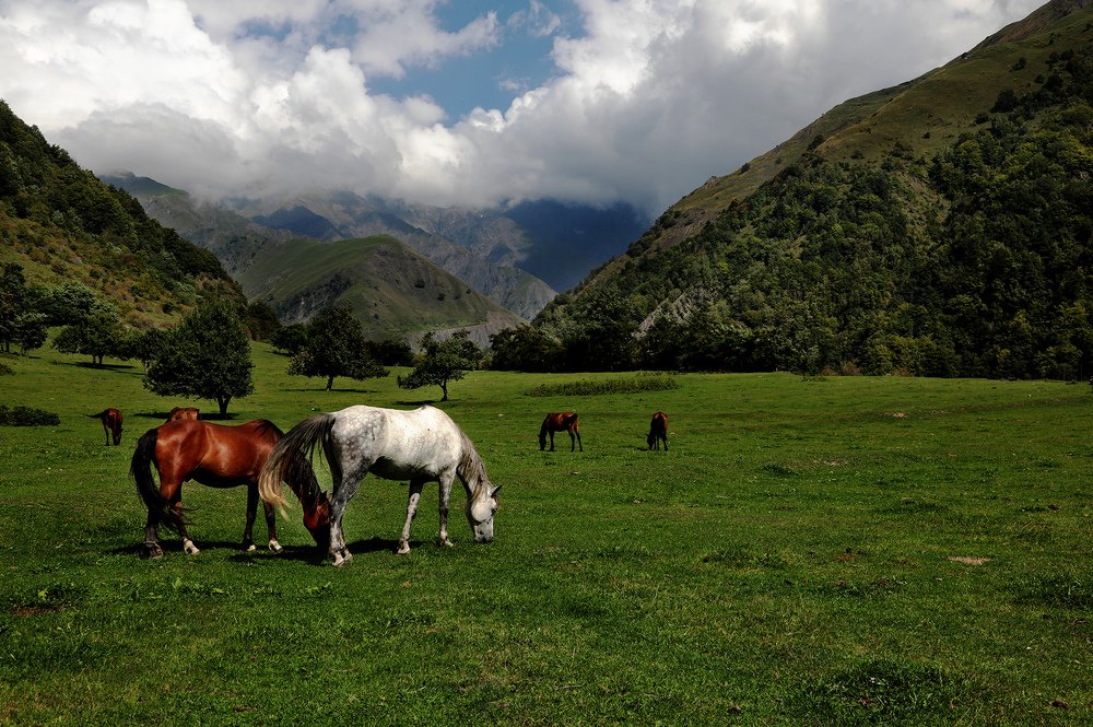 Photograph by Айдын Мехтиев