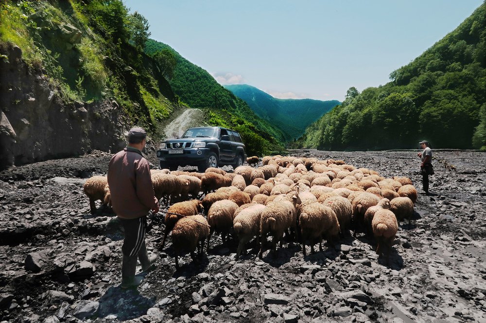 Photograph by Айдын Мехтиев