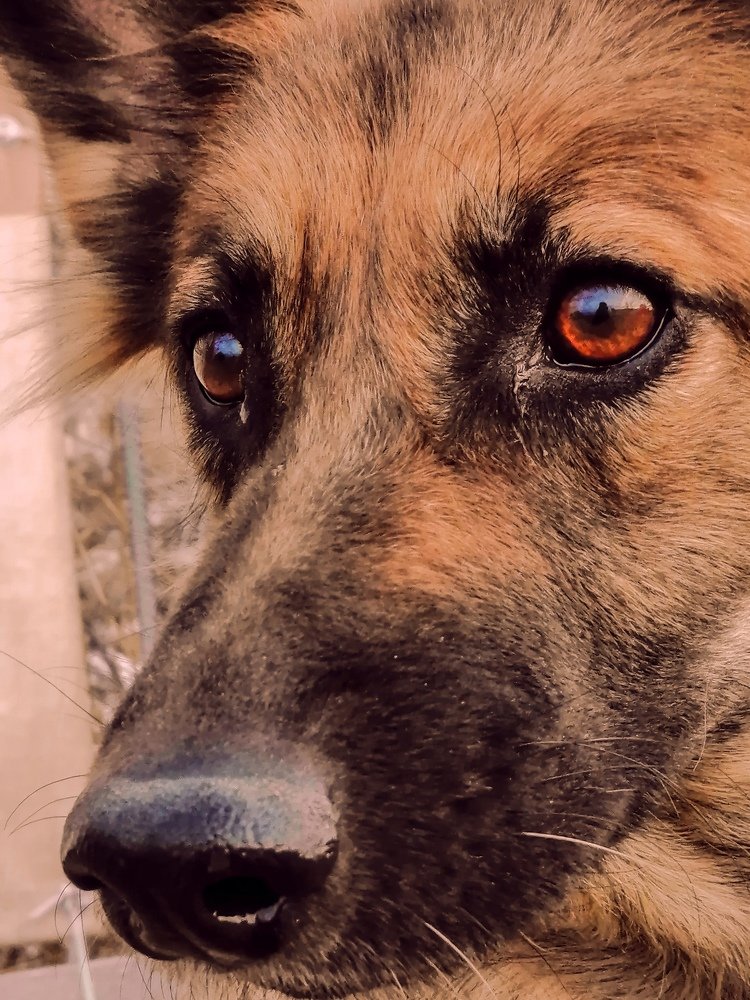 Photograph by Марина