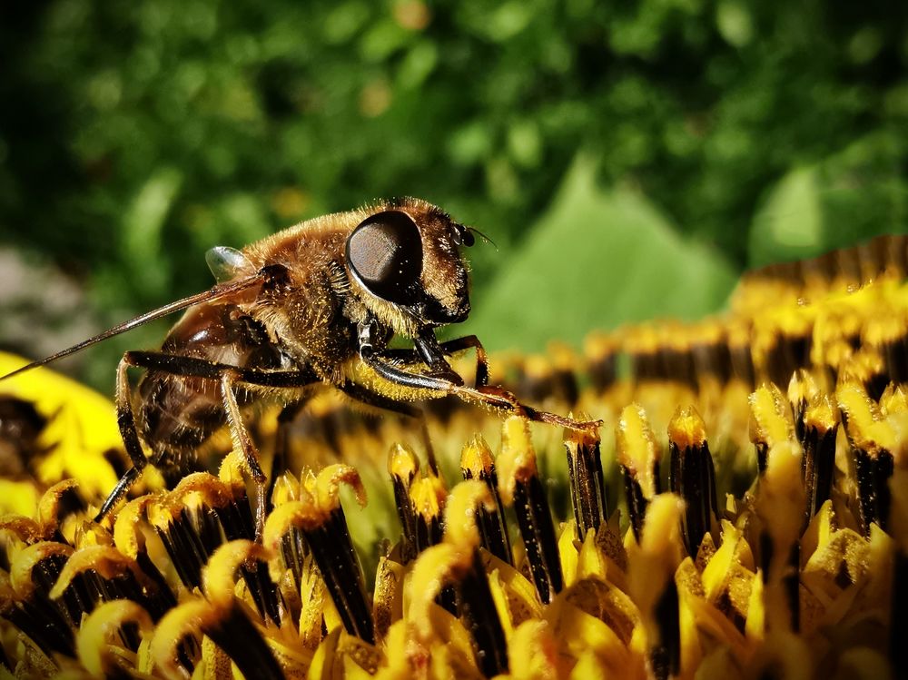 Photograph by Юлия Иванова