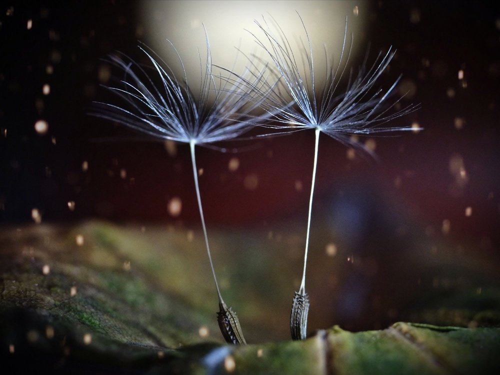 Photograph by Юлия Иванова