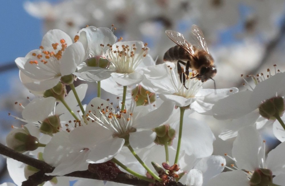 Photograph by Айдын Мехтиев