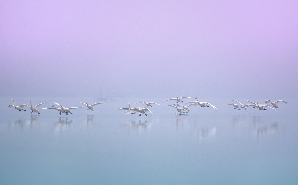 Photograph by suk eun kim