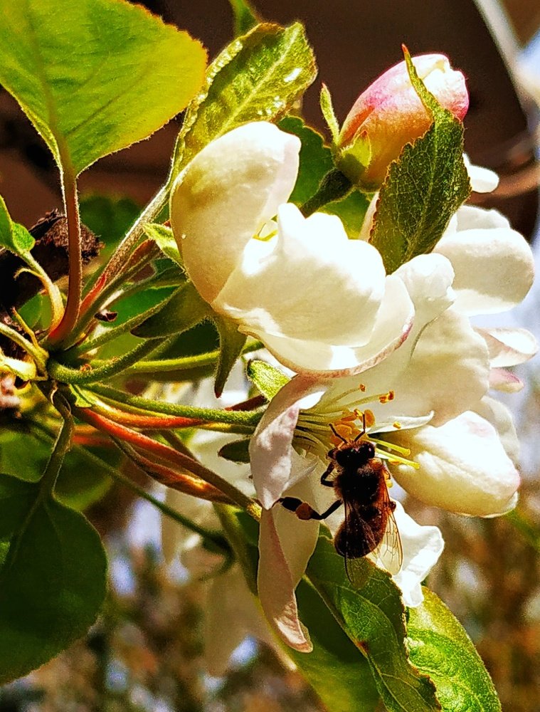 Photograph by Айдын Мехтиев