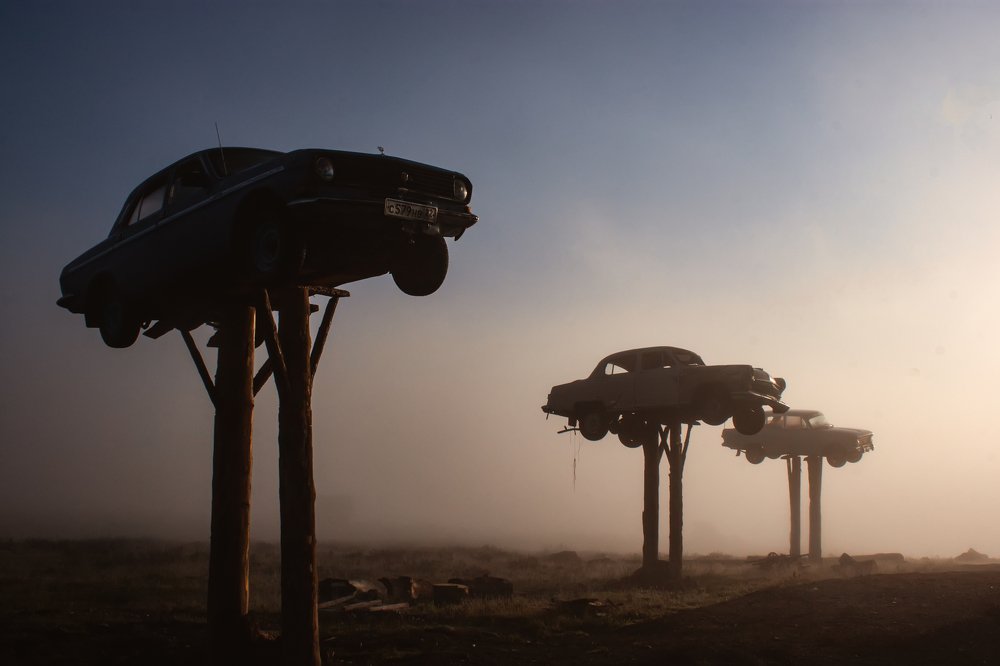 Photograph by Алексей Степаненко