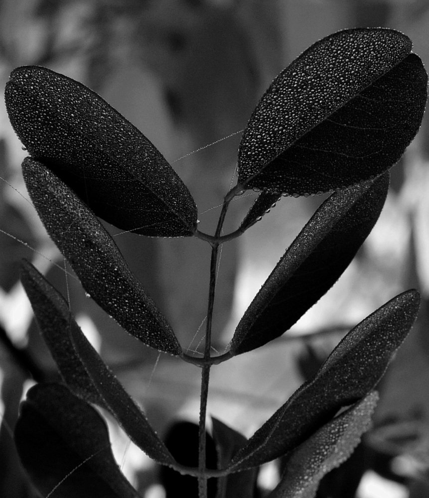 Фотография автора Ирина Якущенко