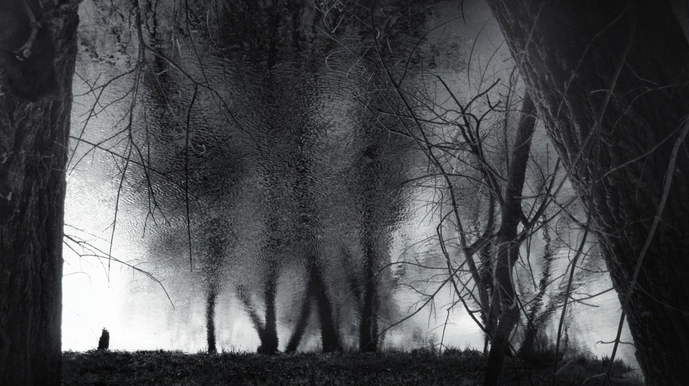 Фотография автора Коломинова Ира