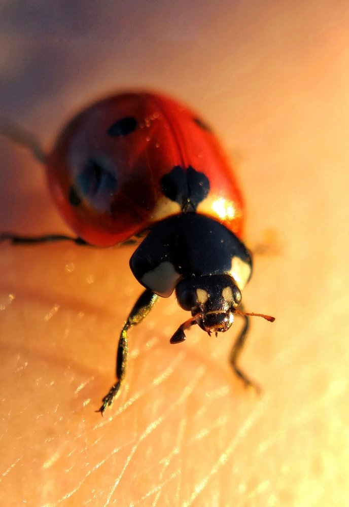 Photograph by Ольга Веселова