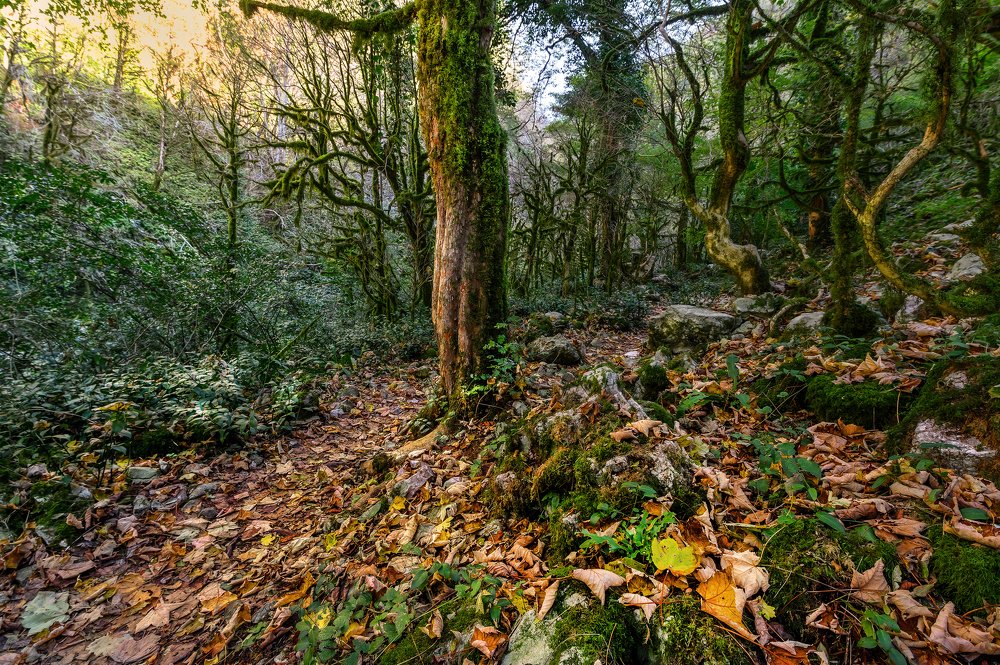 Photograph by Валерий Одинцов