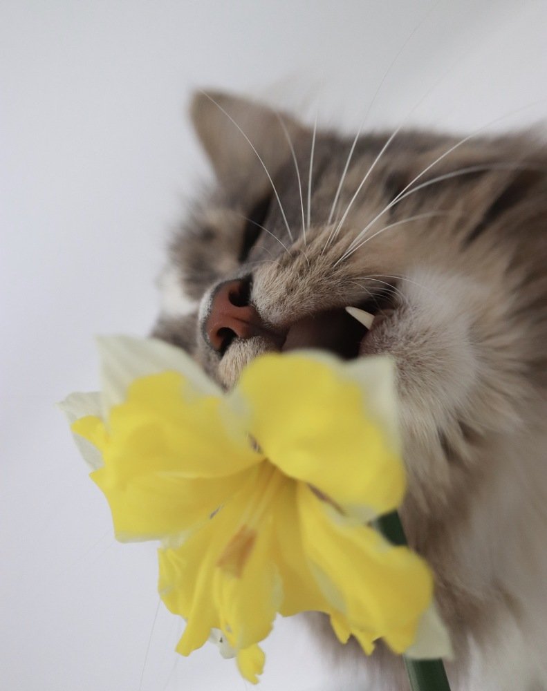 Photograph by Евгения Гудкова