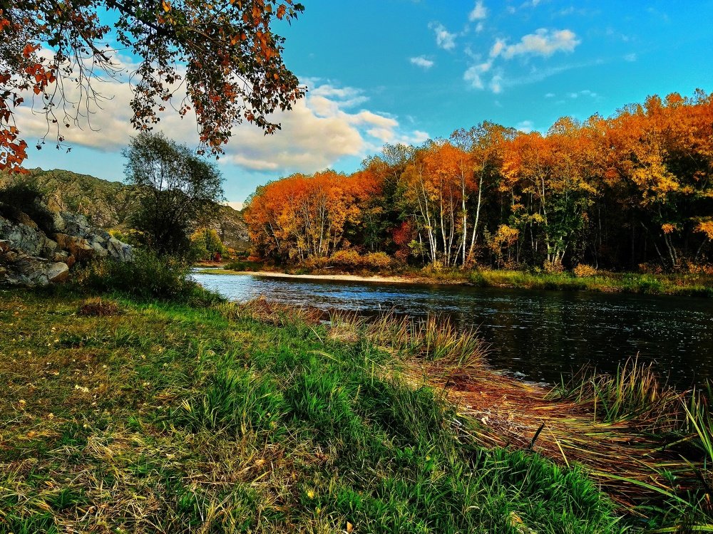 Photograph by Ольга Веселова