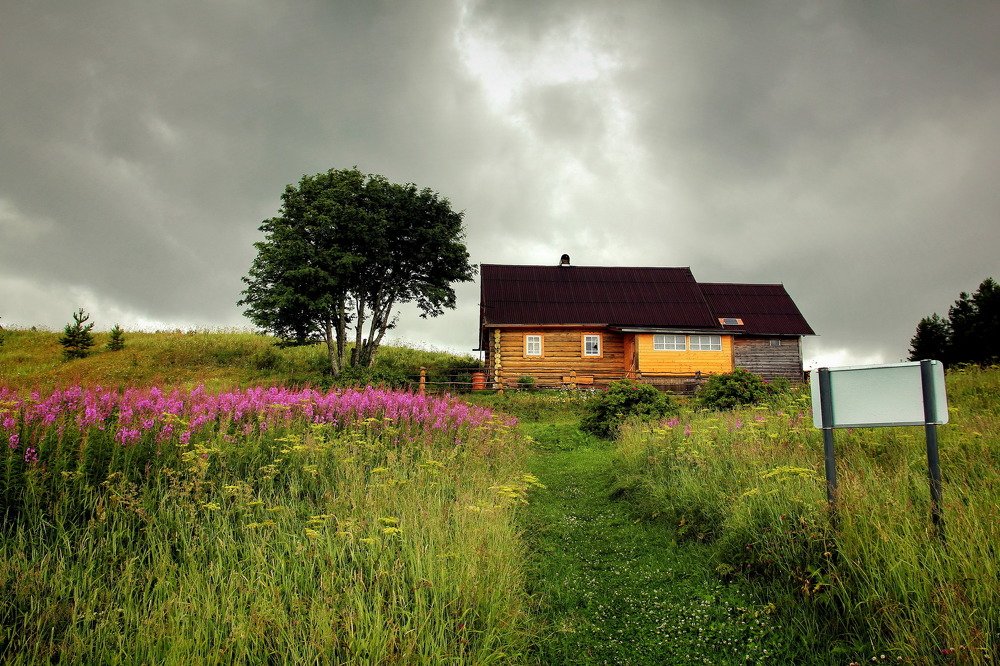 Photograph by Олег Заводских