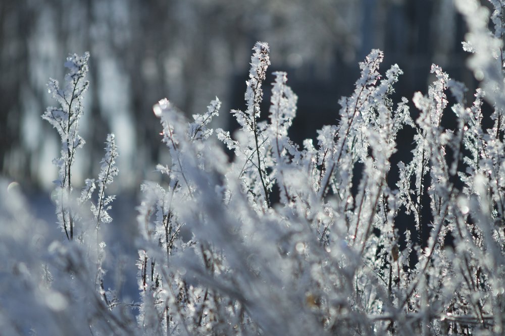 Фотография автора Светлана Барнадаева