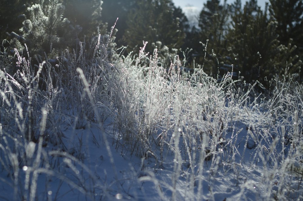 Фотография автора Светлана Барнадаева