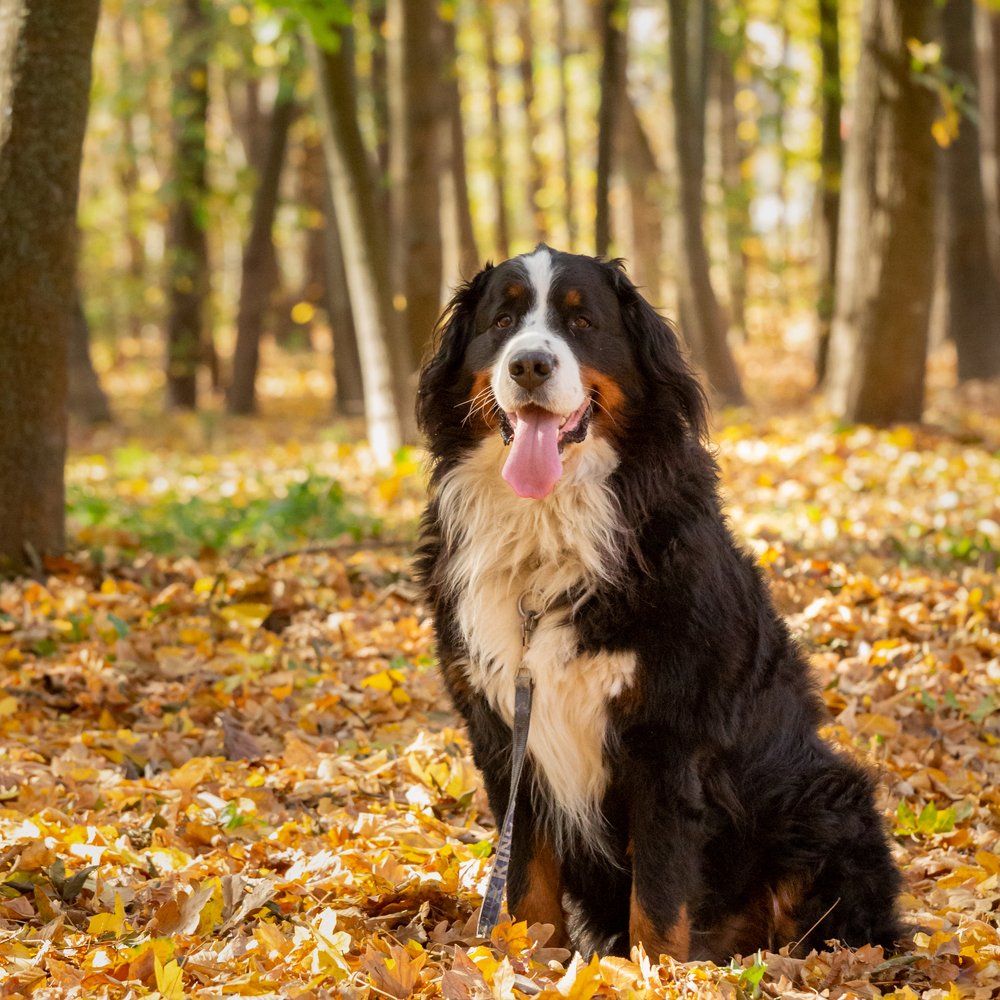 Photograph by Simona Grigorescu