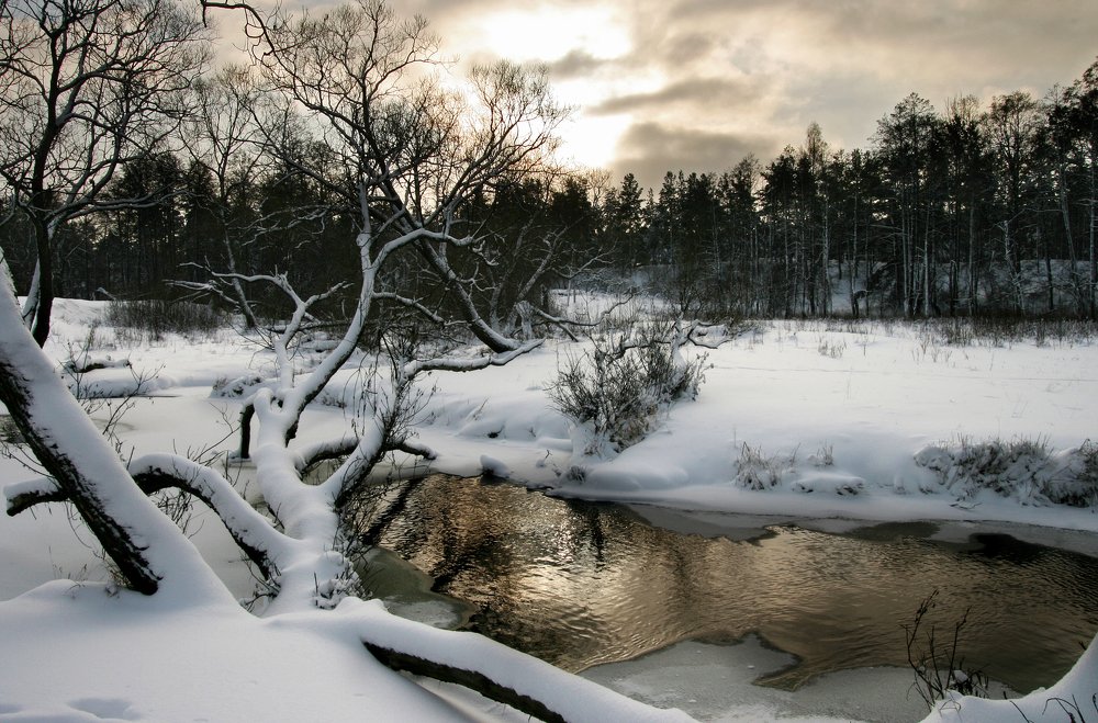 Photograph by Александр Симонов