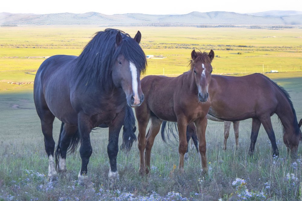 Фотография автора Светлана Барнадаева