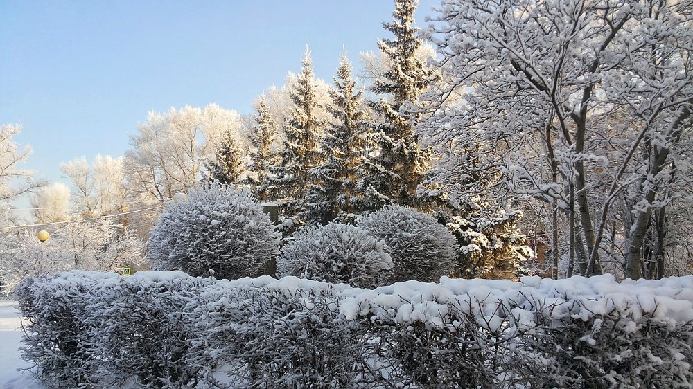 Заснеженный декабрь