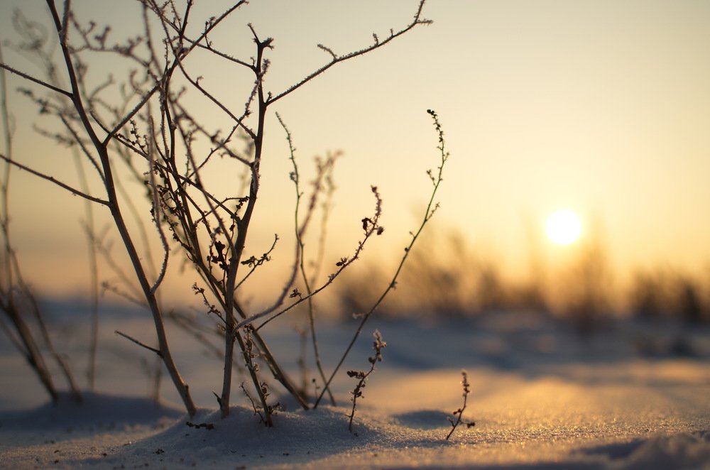 Photograph by Андрей  Игонин