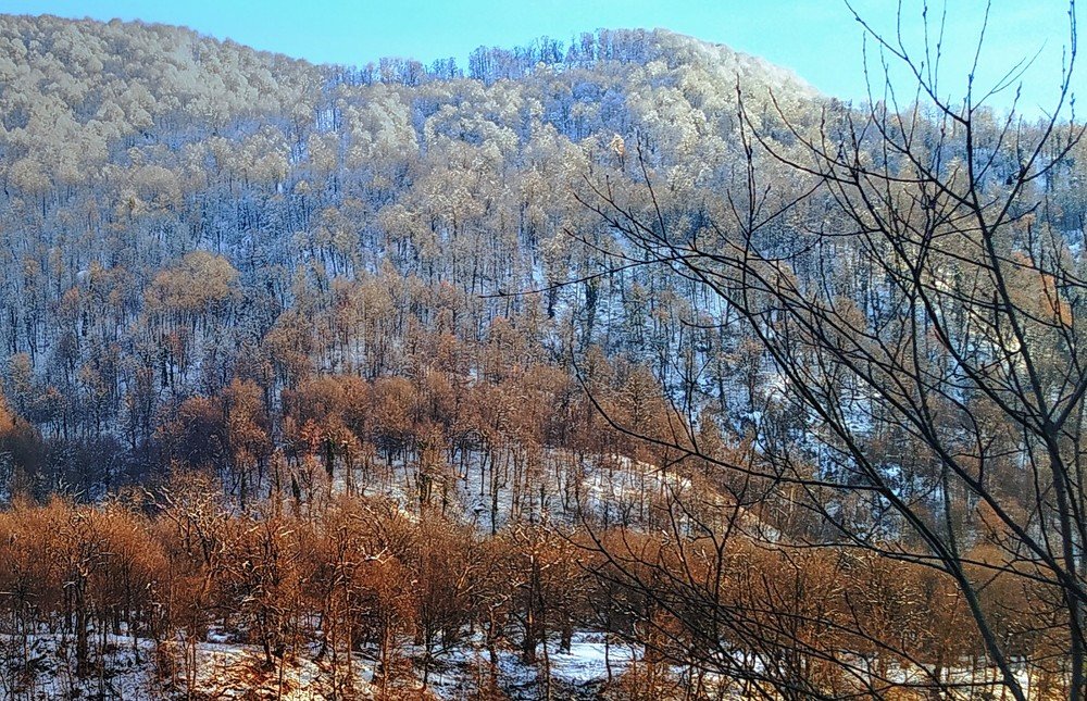 Photograph by Айдын Мехтиев