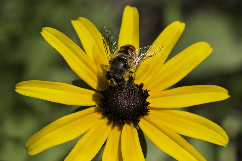 Фотография автора Анна Вигера