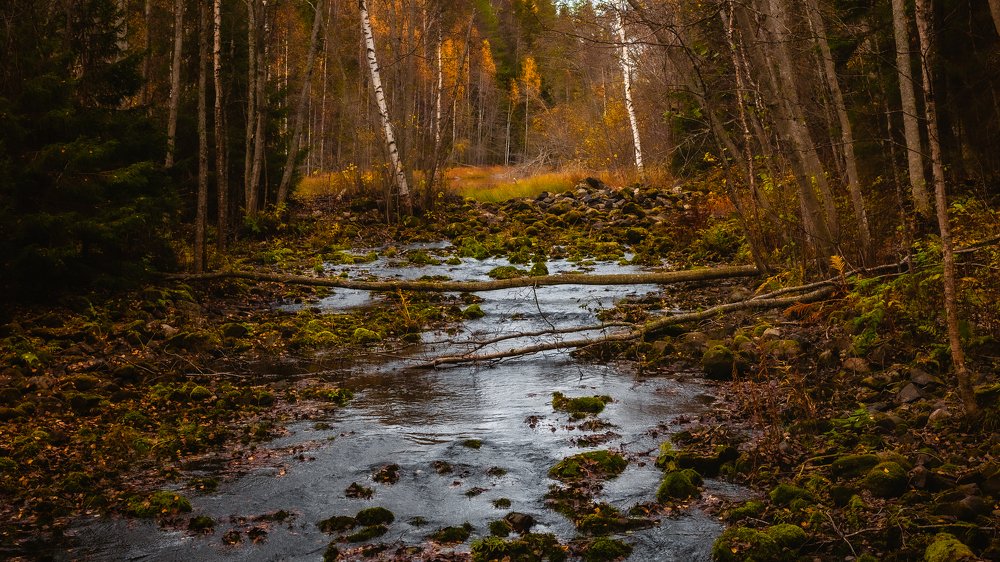 Photograph by Олег Борищенков