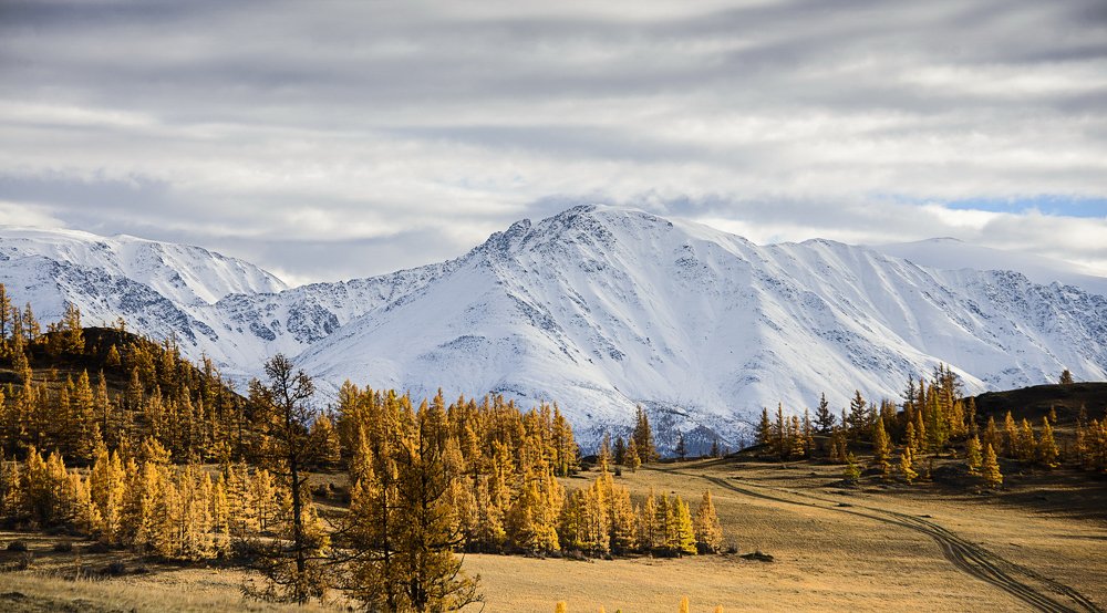 Photograph by Валентин Казанцев
