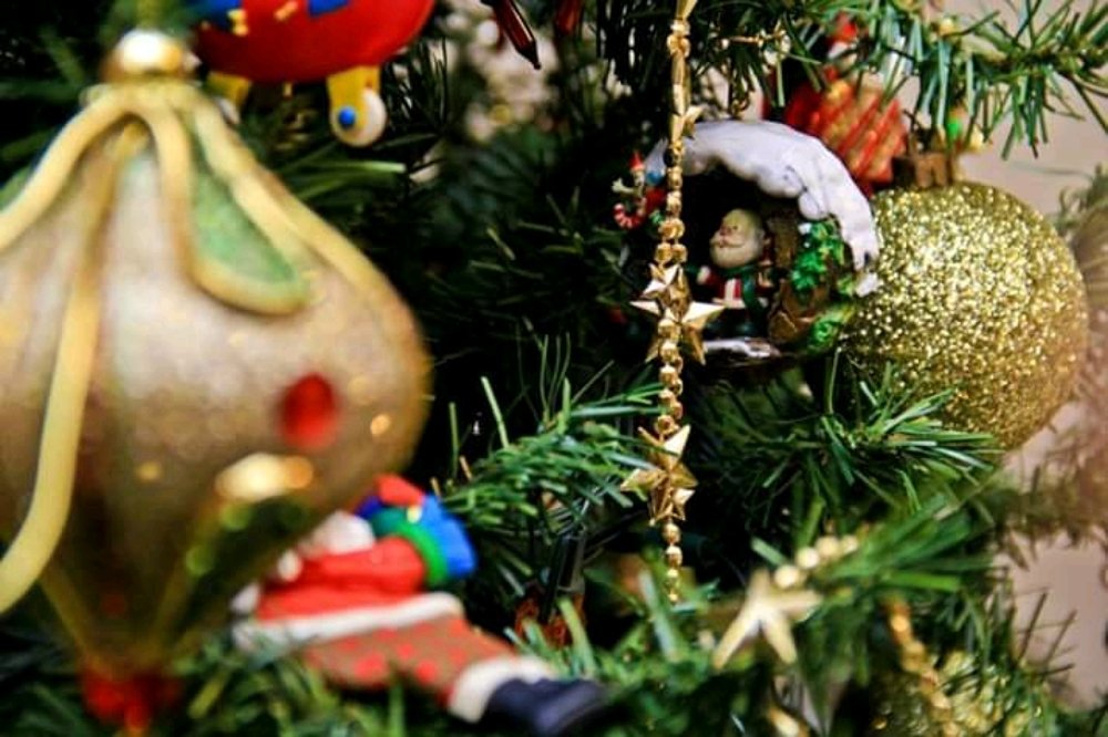 Photograph by William Rafael