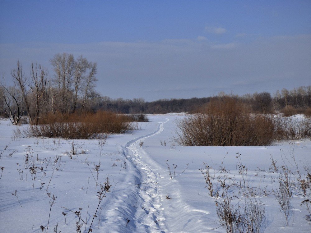Photograph by Юлия Невзорова
