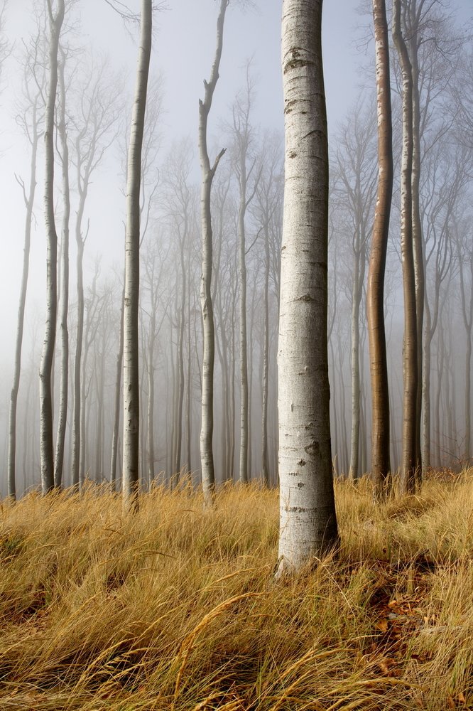 Photograph by Renáta Kuljovská