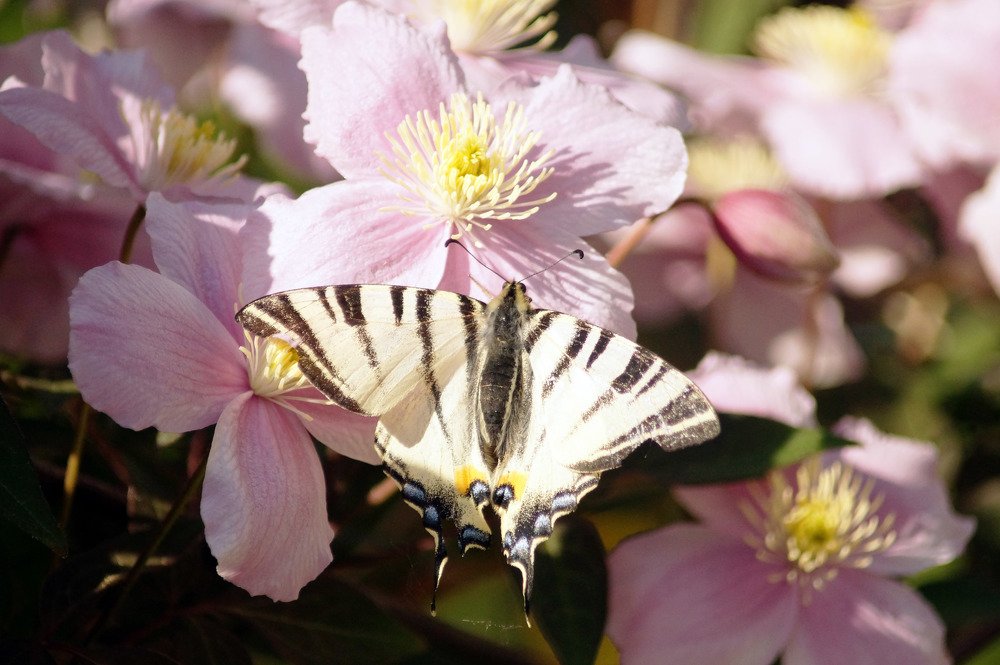 Photograph by Danyliuk Ruslan