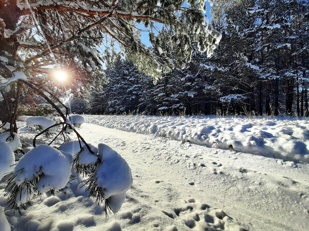 Photograph by Ольга Веселова