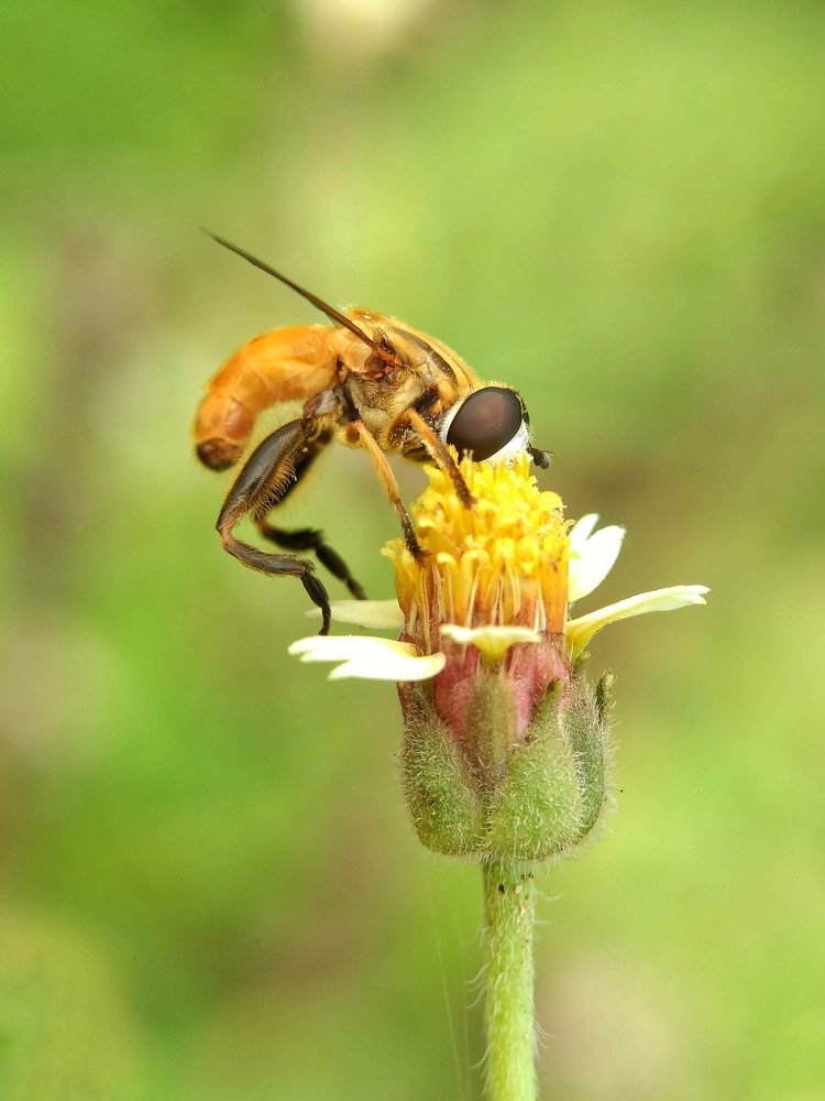 Photograph by Abhijit Roy