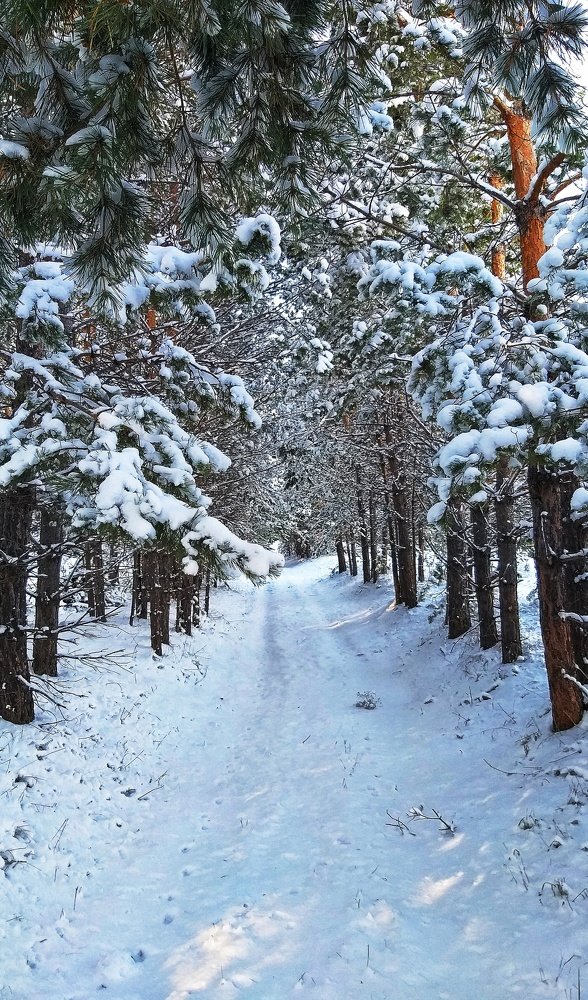 Photograph by Ольга Веселова