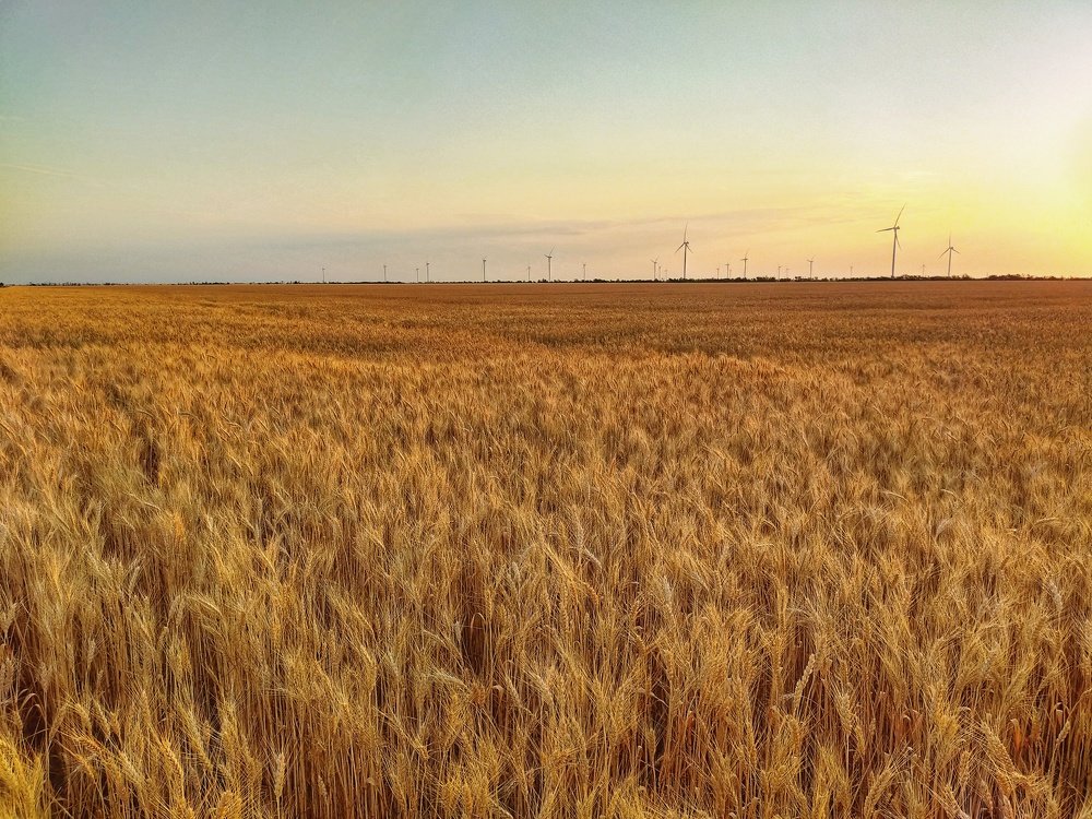 Одним прекрасным утром