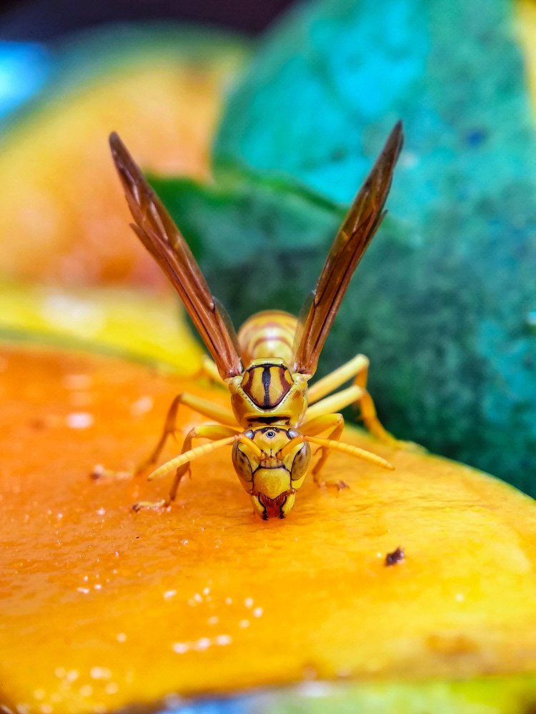 Photograph by Abhijit Roy