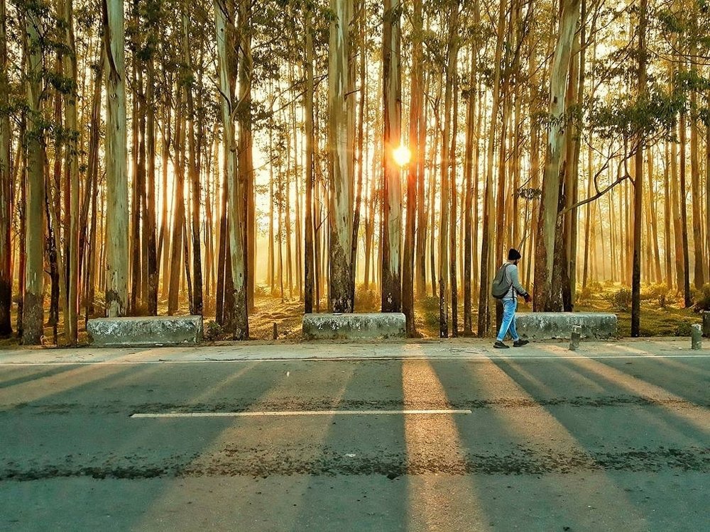 Photograph by Mohammed nizwan k Niz