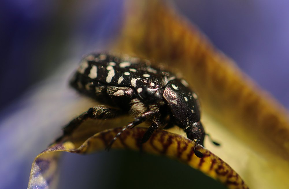 Photograph by Анна Татаренко