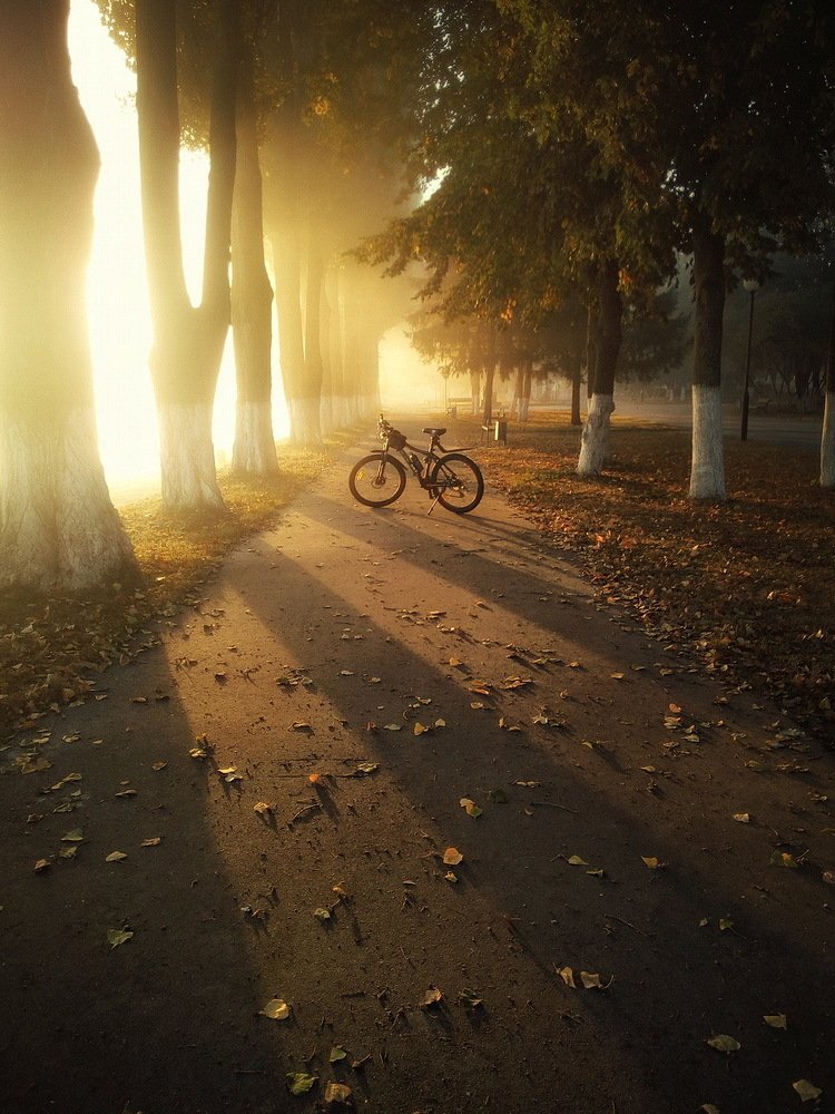 Photograph by Сергей Шляга