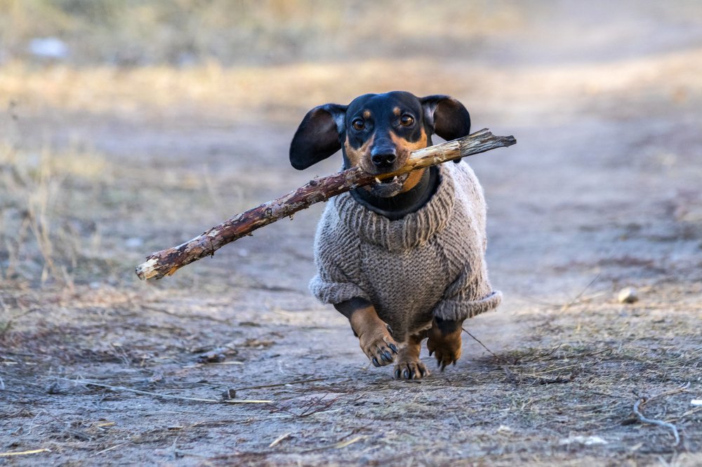 Photograph by Дмитрий Тимин