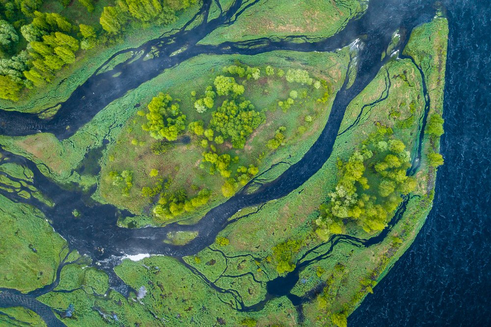 Neural network of the river