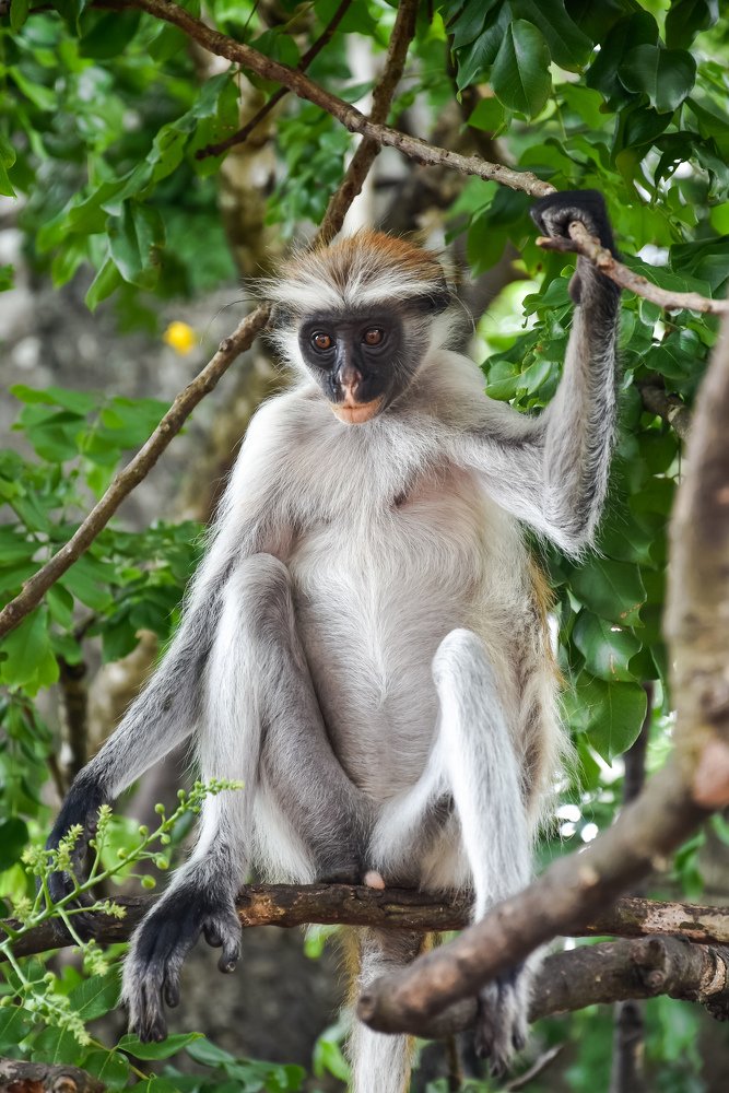 Фотография автора Kristina Karadakova