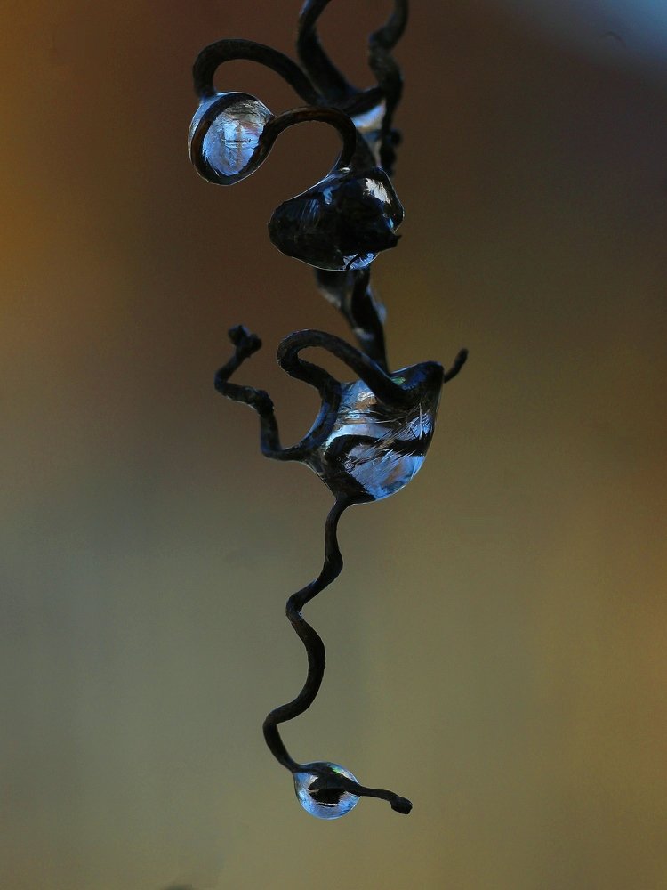 Photograph by Светлана Богомолова